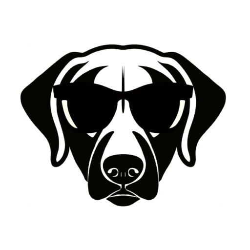dixon Loops icon