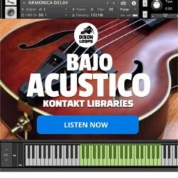 Bajo Acústico - Kontakt Library