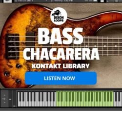 Bass Chacarera - Kontakt Library