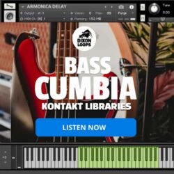 Bass Cumbia - Kontakt Library