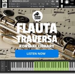 Flauta Traversa- Kontakt Library