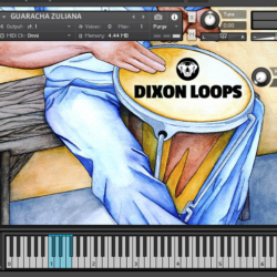 Percusión Vallenato - Kontakt