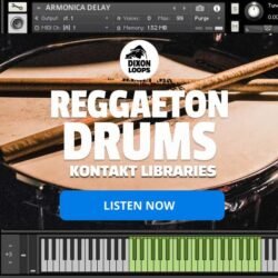 Reggaeton Drums - Kontakt Library