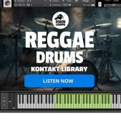 Reggae Drums - Kontakt Library