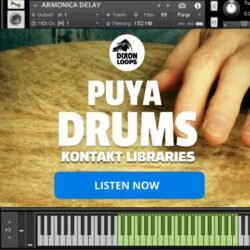 Puya Drums - Kontakt Library