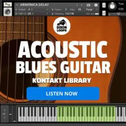 Acoustic Blues Guitar - Kontakt Library
