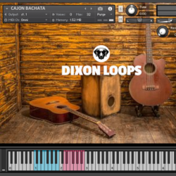 Cajon Bachata - Kontakt