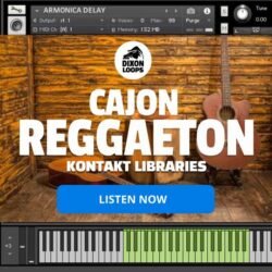 Cajon Reggaeton - Kontakt Library