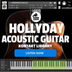 Hollyday Acoustic Guitar - Kontakt