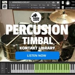 Percusion Timbal - Kontakt Library