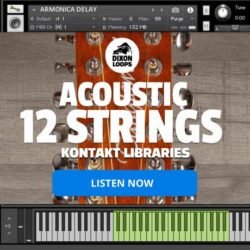 Acoustic 12 Strings - Kontakt Library
