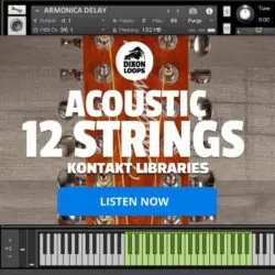 Acoustic 12 Strings - Kontakt Library