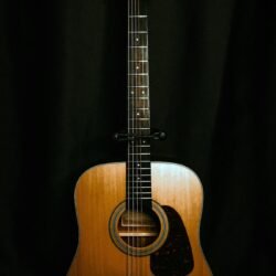 Acoustic Guitar