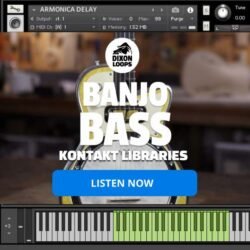 Banjo Bass - Kontakt Library