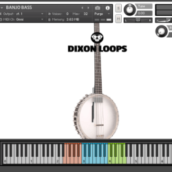Banjo Bass - Kontakt
