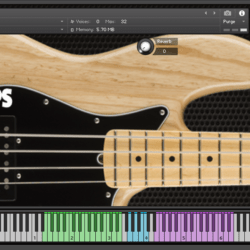 Bass Chamame - Kontakt