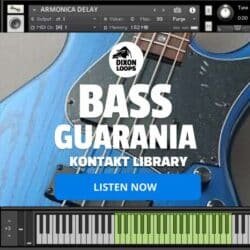 Bass Guarania - Kontakt Library