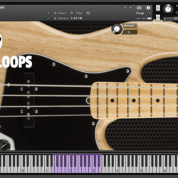 Bass Guabina - Kontakt