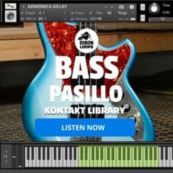 Bass Pasillo- Kontakt Library
