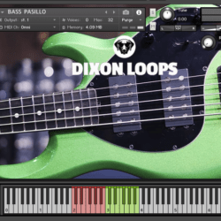 Bass Pasillo- Kontakt