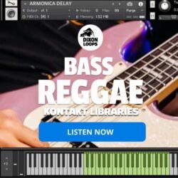 Bass Reggae - Kontakt Library