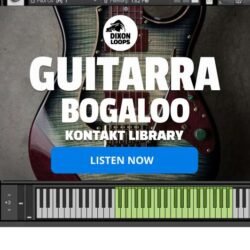 Guitarra Bogaloo - Kontakt Library