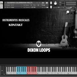 Guitarra Guabina - Kontakt