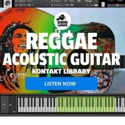Reggae Acoustic Guitar - Kontakt Library