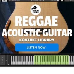 Acoustic Guitar Reggae - Kontakt Library