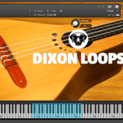 Bandola LLanera - Kontakt