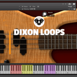 Bass Rock n Roll- Kontakt