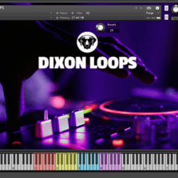 House Bass Loops - Kontakt