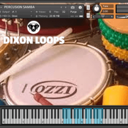 Percusion Samba - Kontakt