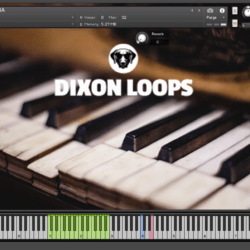 Piano Guaracha - Kontakt