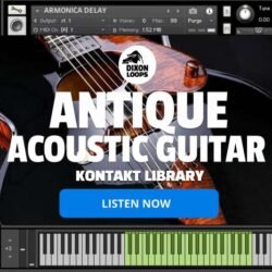 Antique Acoustic Guitar - Kontakt Library