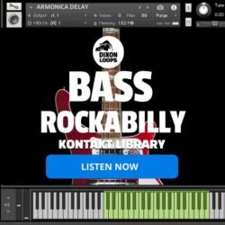 Bass Rockabilly - Kontakt Library