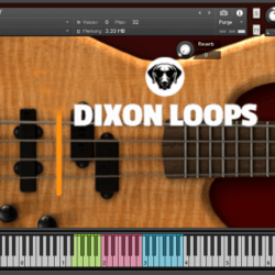 Bass Rockabilly - Kontakt