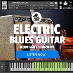 Electric Blues Guitar - Kontakt Library