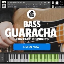Bass Guaracha - Kontakt Library