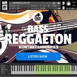 Bass Reggaeton - Kontakt Library