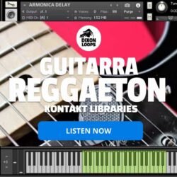 Guitarra Reggaeton - Kontakt Library