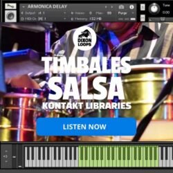 Timbales Salsa - Kontakt Library