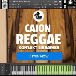 Cajon Reggae - Kontakt Library