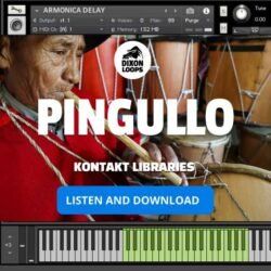 Pingullo - Kontakt Library