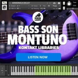 Bass Son Montuno - Kontakt Library