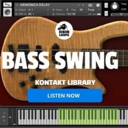 Bass Swing - Kontakt Library