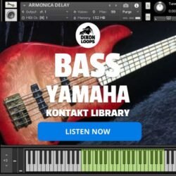 Bass Yamaha- Kontakt Library