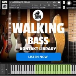 Walking Bass- Kontakt Library