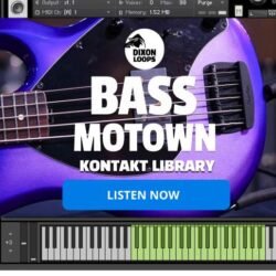 Bass Motown - Kontakt Library