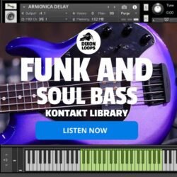 Funk And Soul Bass - Kontakt Library